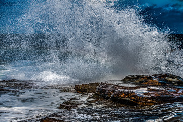 The Australian Coast
