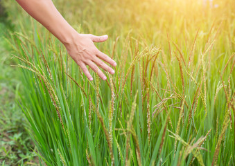 Hand of Young Woman Enjoying Nature with sunrise.