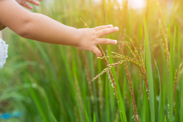 Hand of Young Woman Enjoying Nature with sunrise.