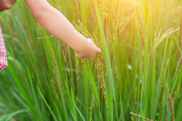 Hand of Young Woman Enjoying Nature with sunrise.