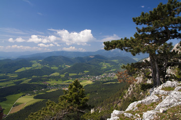 Spring mountains in the morning
