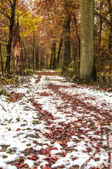 Schnee in der Herbstlandschaft 