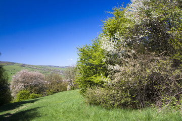 Obraz premium Spring mountains in the morning