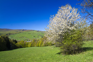 Fototapeta premium Spring mountains in the morning