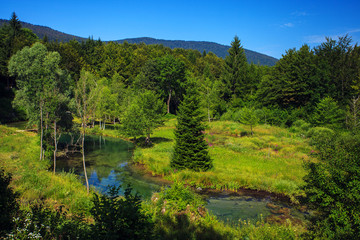 Serene landscape in Plitvice lake national park, Croatia