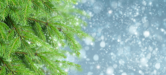 christmas background with fir tree and snow