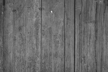 Fototapeta premium Natural knotted gray weathered wood plank texture background