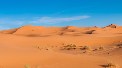 Fototapeta na wymiar In den Dünen der Sahara bei Merzouga (Erg Chebbi); Marokko