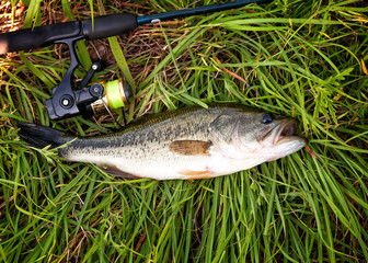 fishing 1