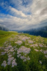 Before the Beginning