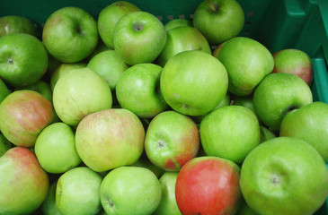 Red and green fresh apples in supermarket, closeup