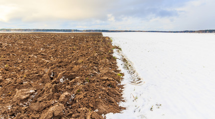 Plowed earth in winter