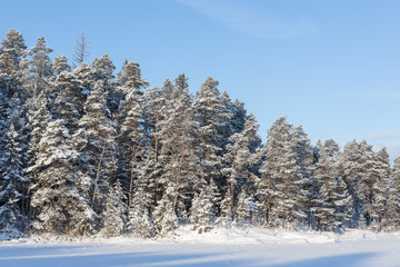 Frozen lake and snow covered forest