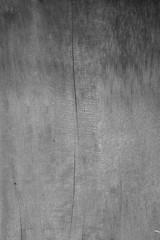 White painted wooden background