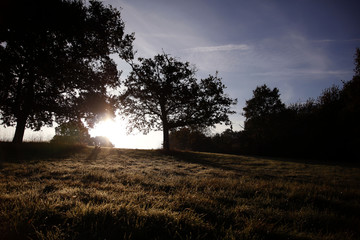 Plaine du cr&eacute;puscule