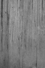 Wood texture. Lining boards wall. Wooden background pattern. Showing growth rings