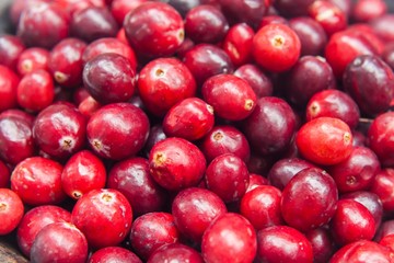 Fresh cranberries