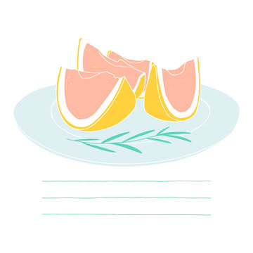 Grapefruit slices on the plate. Hand drawn vector kitchen illustration 
