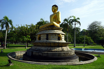 Fototapeta premium Buddha in park