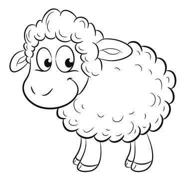 Niedliches Schaf