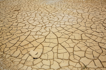 texture cracked earth in the desert