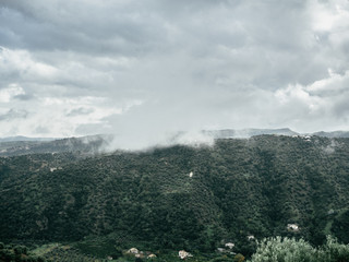 Fog