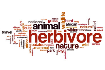Herbivore word cloud