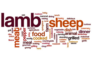 Lamb word cloud