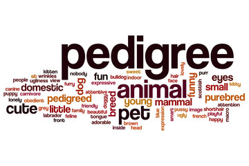 Pedigree word cloud