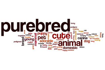 Fototapeta premium Purebred word cloud