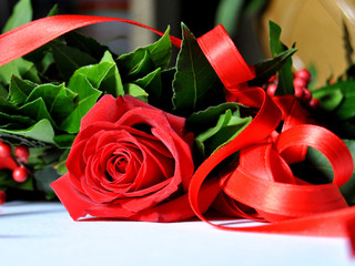 Rosa rossa