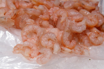 raw shrimps on ice