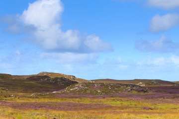 Rural scottish panorama