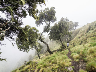 Semian Mountains on a foggy day
