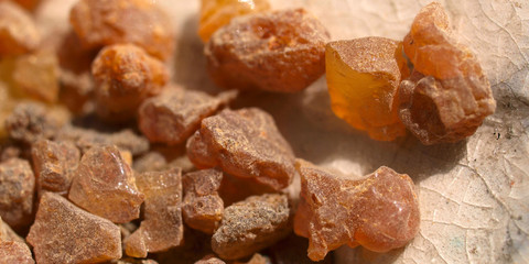 Myrrhe, Harz, Commiphora myrrha