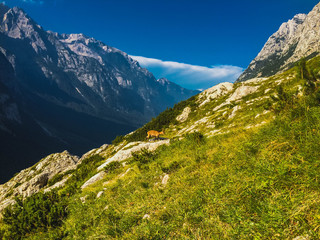 Triglav edge