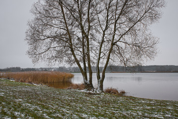 Zima nad jeziorem © Mariusz Stoszewski