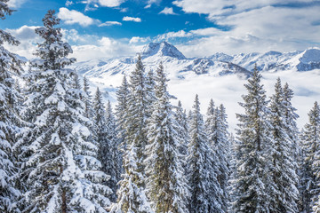Trees and mountains covered by fresh snow in Kitzbühel ski resort, Tyrolian Alps, Austria