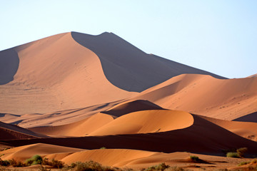 Fototapeta na wymiar Doodvlei 48 - Giant Sand Dunes Nambia