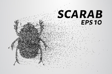The scarab of the particles. The scarab is made up of little circles and dots. - obrazy, fototapety, plakaty