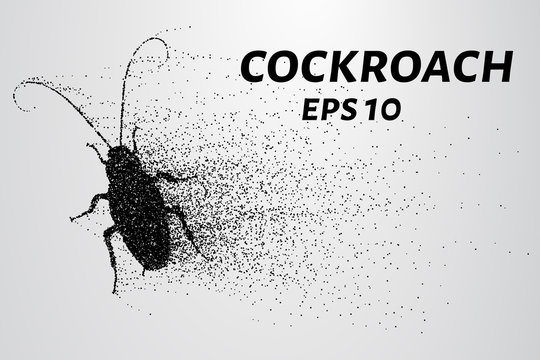 Cockroach particles. Cockroach consists of small circles and dots.