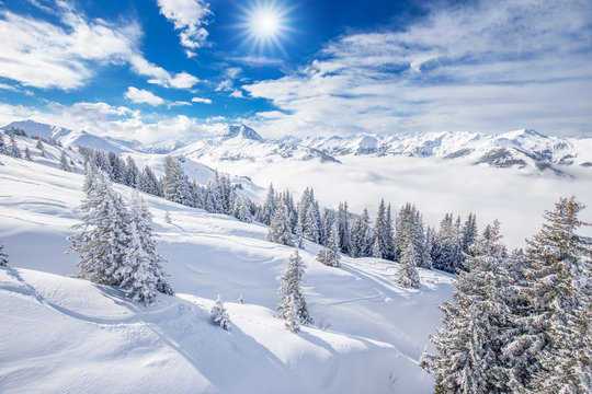 Fototapeta Trees and mountains covered by fresh snow in Kitzbühel ski resort, Tyrolian Alps, Austria