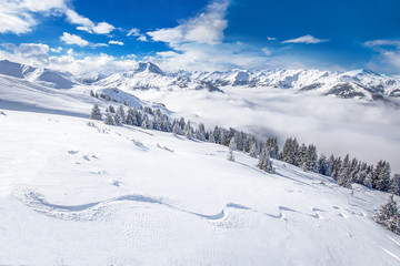 Fototapeta na wymiar Trees and mountains covered by fresh snow in Kitzbühel ski resort, Tyrolian Alps, Austria