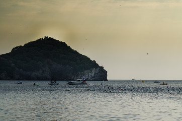 swimming race at sea: triathlon