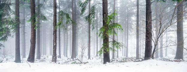 Wandaufkleber Verschneiter Wald im Winter als Panorama © eyetronic
