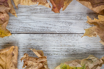 Dried autumn leaves on wooden table