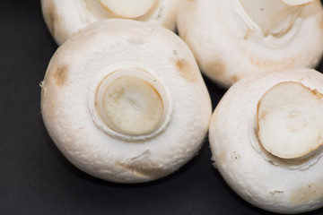 Lot of mushrooms on black background