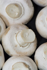 Lot of mushrooms on black background