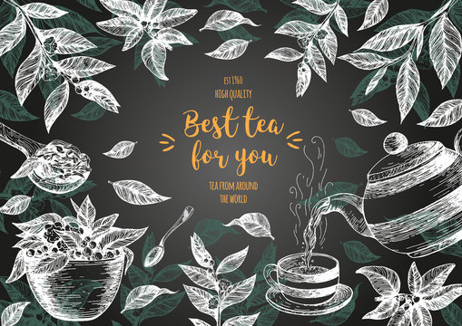 Tea Shop vector illustration. Vector card design with tea. Tea house poster. Vector hand drawn set. Linear graphic