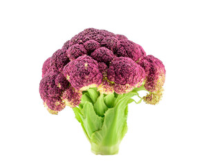 Purple cauliflower isolated on white